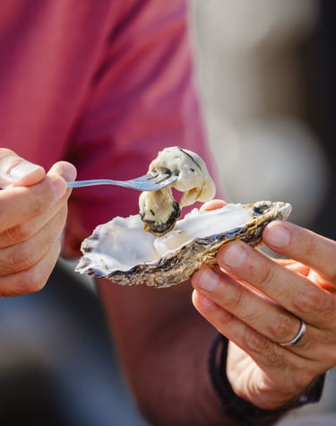 Les huîtres du Bar à 8