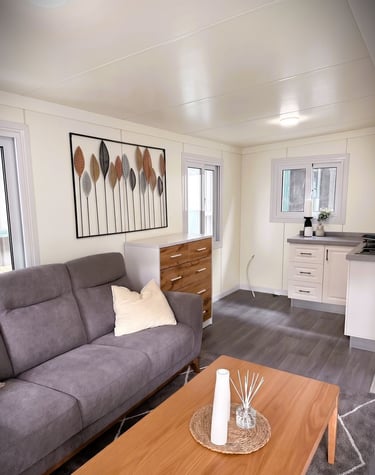 Intérieur moderne d'un habitat économique avec salon et cuisine.