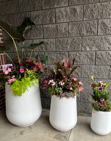 Outdoor white planters featuring tropical plants, pink flowers, and calla lilies against a grey stone wall.