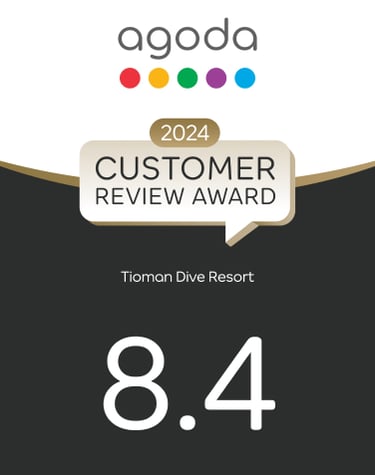 Agoda customer review award