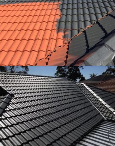 ROOF PAINTING SERVICES