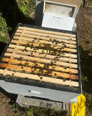 a beehive with bees on a beehive