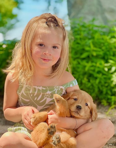 Moment heureux : un enfant et chiots jouant dans un jardin.