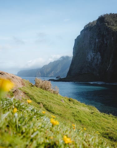 Vue panoramique depuis le Miradouro do Guindaste sur les falaises de Faial, Madère - Tanguy Belin