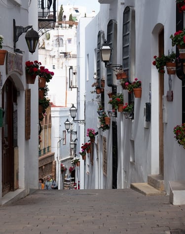 Calle del pueblo de Mojacar y su casco antiguo