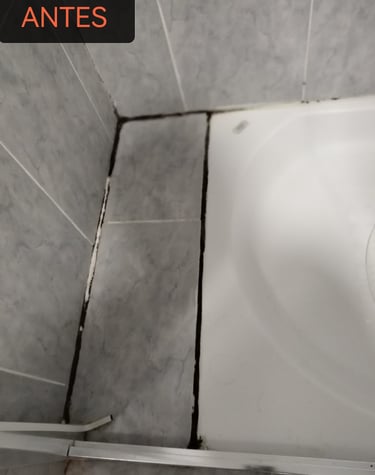 estado inicial de una ducha de baño con acumulación de moho negro en las juntas de los azulejos