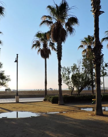 Panoramic view of Malvarrosa Beach in Valencia,