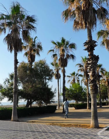 Promenade of Malvarrosa Beach in Valencia