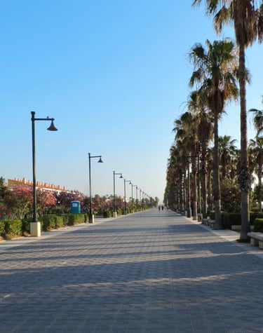 Paseo de la Playa de las Arenas Valencia