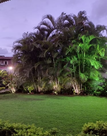 Ensaio de dia e a noite ficam ótimos aqui