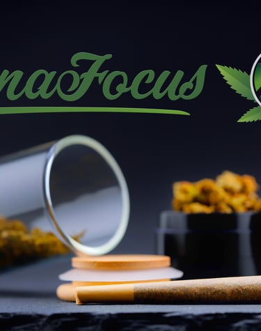 sauber gerollten Joint und Cannabisblüten. CannaFocus_eu CannaFocus cannafocus.eu professioneller fotograf für cannabis