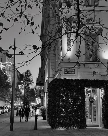 Festive street view in Budapest