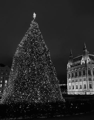 Christmas tree in Budapest