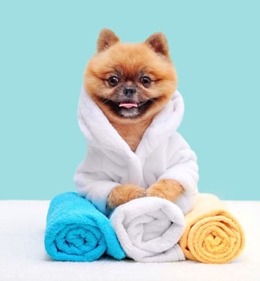 Första klass spa behandlingar. 