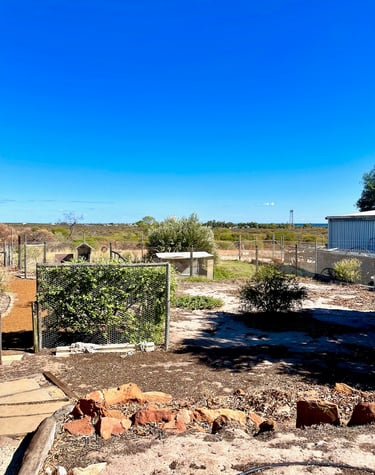 Large back yard with chook run
