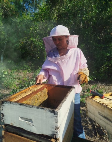 A beekeeper in a protective pink suit and veil inspects a wooden beehive frame outdoors.
