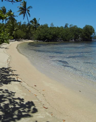 Calm sandy beach with mangroves;Playa de arena tranquila con manglares