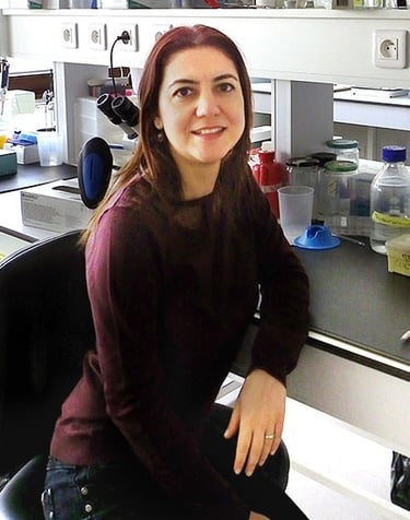 Dr Ipek Yalcin-Christmann