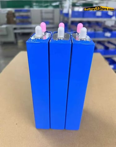 detail of LiFePO4 prismatic battery cells
