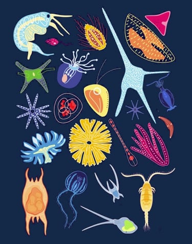 PESTICIDES BIODIVERSITÉ EXTINCTION MASSE OCÉANS PLANCTON