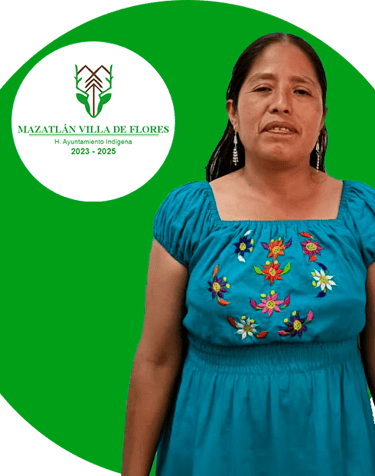 Regidora Municipio Mazatlán Villa de Flores