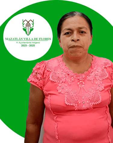 Regidora Municipio Mazatlán Villa de Flores