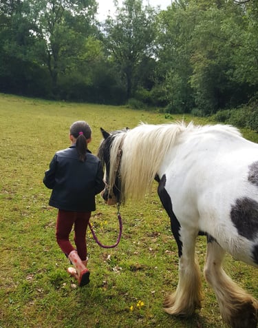 Enfant marche à côté de son poney lors d'une séance d'équithérapie