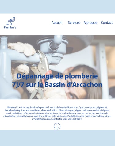 Page site internet créée pour un artisan plombier.