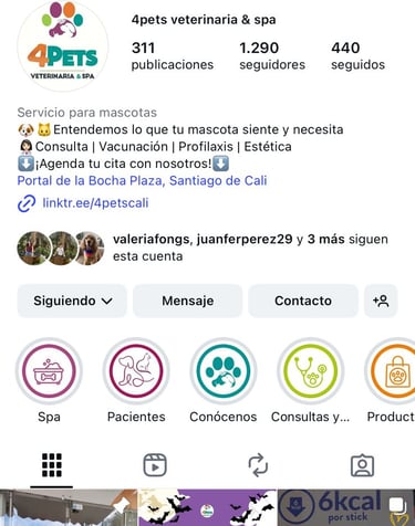 perfil de instagram de la veterinaria 4pets cali