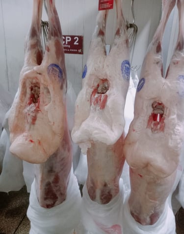 Top Lamb Meat Exporters In Pakistan