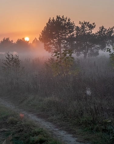 ThetaHealing mokymai Būties planai - rūkas gamtoje