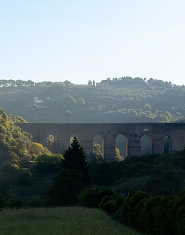 vista dell'ingresso della città di Spoleto con Hotel Gattapone sotto la rocca albornoziana e davanti il Ponte delle Torri