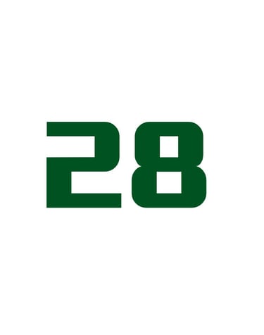 Icon representing King Fly's 28+ years of expertise.