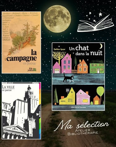 livres bibliothérapie poésie ville campagne nuit