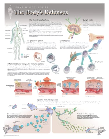 PESTICIDES SANTÉ MALADIES AUTO-IMMUNES