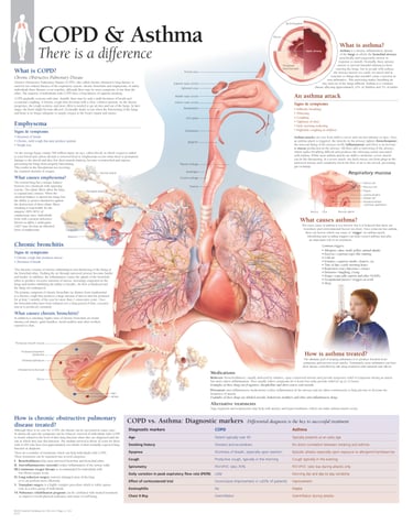 PESTICIDES SANTÉ MALADIES RESPIRATOIRES CHRONIQUES