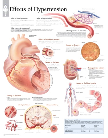 PESTICIDES SANTÉ MALADIES CARDIOVASCULAURES