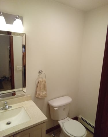 1/2 bath sink, toilet and mirror vanity