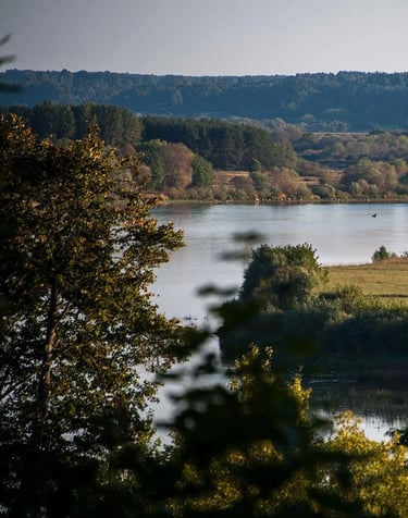 ThetaHealing mokymai Pažengusiųjų DNR - upės vingiai