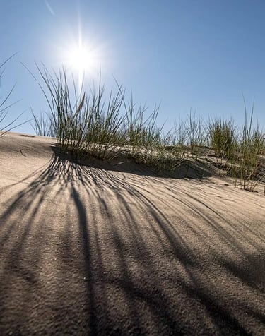 ThetaHealing mokymai Ritmas - smėlio kopa