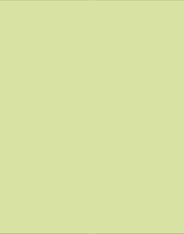 day trip tendaba camp and mangrove boat trip inland gambia