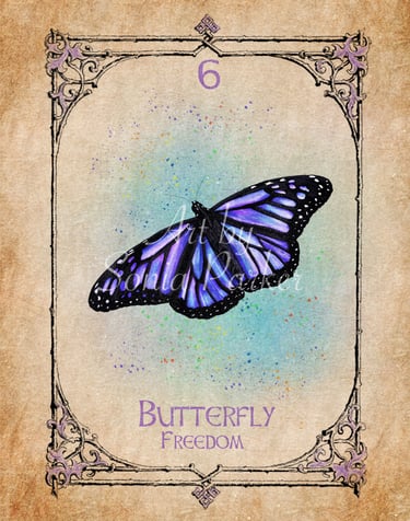 Butterfly card from the animal spirit oracle deck