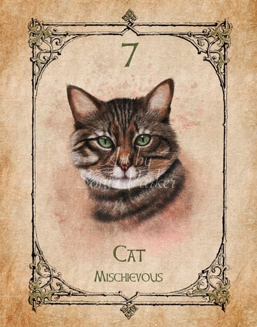Cat, a card from the animal spirit oracle deck