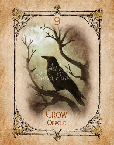 The spiritual meaning of the crow is one of contemplation