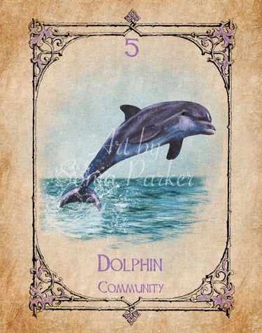 Dolphin card from the animal spirit oracle deck