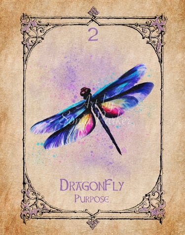 Dragonfly card from the animal spirit oracle deck