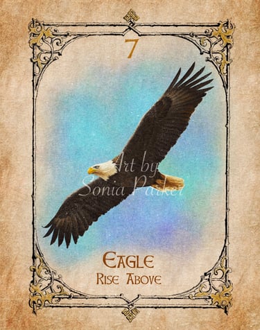 Eagle, a card from the animal spirit oracle deck