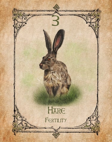 Hare, a card from the animal spirit oracle deck