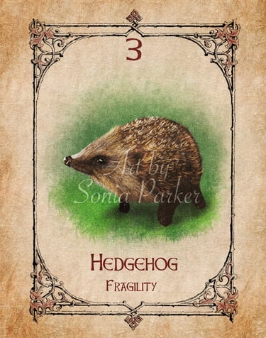 Hedgehog, card from the animal spirit oracle deck