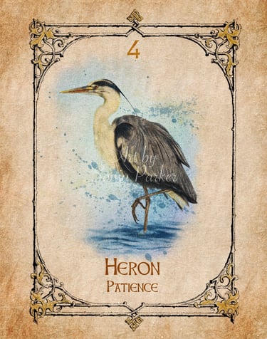  Heron is a wading bird, it walks the waters edge. The heron will stand poised and ready, waiting pa